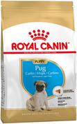 Sucha karma dla psów - Royal Canin Pug Junior 1,5 kg - miniaturka - grafika 1