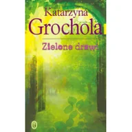 Romanse - Literackie Zielone drzwi 9788308044582 - miniaturka - grafika 1