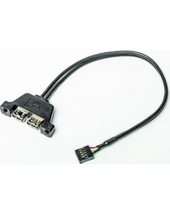 ASRock ASRock Deskmini 2x USB 2.0 Cable - Akcesoria do komputerów stacjonarnych - miniaturka - grafika 2