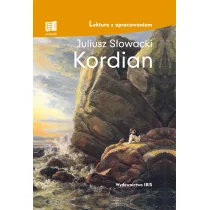 Ibis Kordian - Pozostałe książki - miniaturka - grafika 2