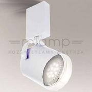 Lampy sufitowe - Shilo plafon reflektorek) Tenri ES111 biały 7264 - miniaturka - grafika 1