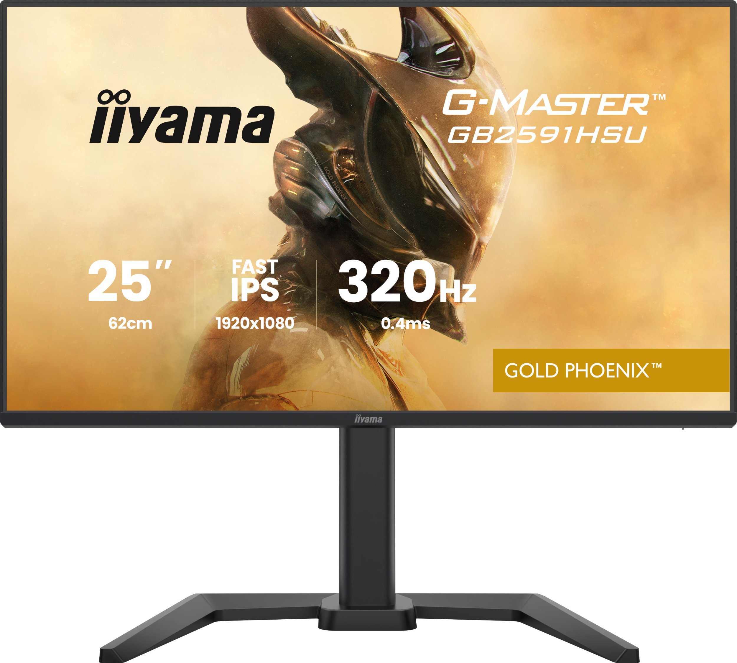 iiyama G-Master GB2591HSU-B1 24,5