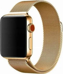 PASEK Bransoleta DO APPLE WATCH 1 2 3 4 5 6 7 SE - Akcesoria do smartwatchy - miniaturka - grafika 1