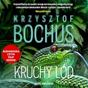 Audiobooki - kryminał, sensacja, thriller - Kruchy lód Krzysztof Bochus - miniaturka - grafika 1