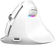 Myszki - Delux M618 Mini White RGB RT-DM618MINIWHITE - miniaturka - grafika 1