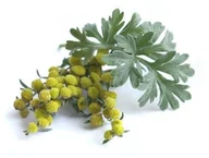 Akcesoria jeździeckie - EQUIHERBS Piołun ziele 1 kg - miniaturka - grafika 1