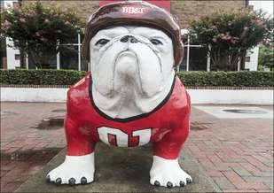 Bulldog mascot in the University of Georgia, Athens, Carol Highsmith - plakat 70x50 cm - Plakaty - miniaturka - grafika 1