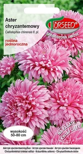 Nasiona Aster wysoki chryzantemowy różowy 0,5g - Torseed - Nasiona i cebule - miniaturka - grafika 1