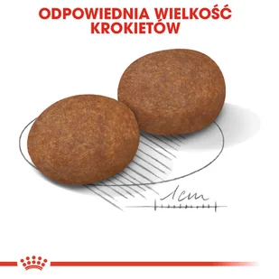 Royal Canin Medium Adult 7+ 15 kg - Sucha karma dla psów - miniaturka - grafika 14