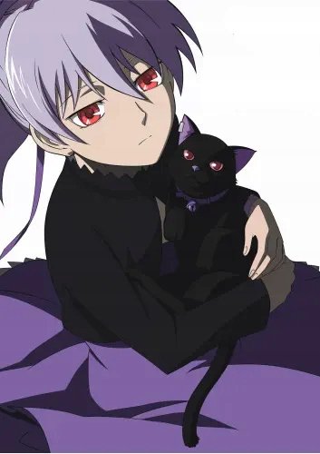 Plakat Darker than Black DTB_019 A1+ (custom)