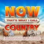 Country - 4CD Various: Now That's What I Call Country - miniaturka - grafika 1