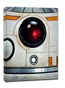 Obrazy i zdjęcia na płótnie - Face It! Star Wars Gwiezdne Wojny - BB-8 - obraz na płótnie Wymiar do wyboru: 50x70 cm - miniaturka - grafika 1