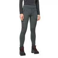 Bielizna sportowa damska - Damskie getry termoaktywne Jack Wolfskin SALMASER TIGHTS W slate green - XS - miniaturka - grafika 1