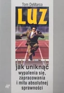 Zarządzanie - Luz. Jak Uniknąć Wypalenia Się, Zapracowania i Mitu Absolutnej Sprawności - miniaturka - grafika 1