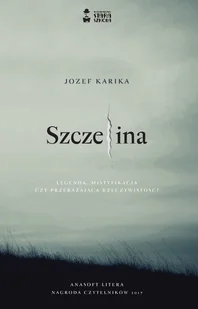 Szczelina - Audiobooki - kryminał, sensacja, thriller - miniaturka - grafika 1