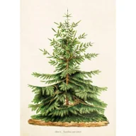 Religia i religioznawstwo - Skona Ting Karnet ST323 B6 + koperta Jodła - miniaturka - grafika 1