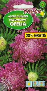 Aster piwoniowy Ofelia różowy 1 g POLAN - Nasiona i cebule - miniaturka - grafika 1