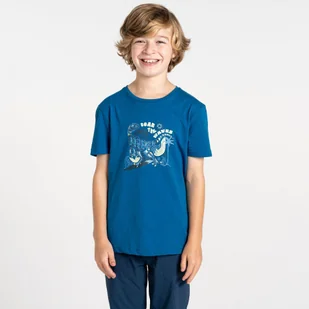 Dare 2b Dziecięca koszulka Trailblazer II Niebieski, Rozmiar: 164 cm - Koszulki dla chłopców - miniaturka - grafika 1