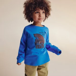 Bluzki dla chłopców - Reserved - Longsleeve oversize z aplikacją - Niebieski - grafika 1