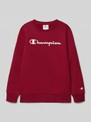 Swetry dla chłopców - Bluza z nadrukiem z logo - miniaturka - grafika 1