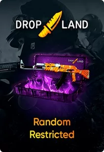 Counter-Strike: Global Offensive RANDOM RESTRICTED SKIN BY DROPLAND.NET - Key - GLOBAL - Gry PC Cyfrowe - miniaturka - grafika 1