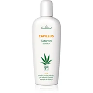 Szampony do włosów - Cannaderm Capillus Szampon na problemy łojotokowe AZS łuszczycę 150ml 7% oleju z konopi FDC4-42577 - miniaturka - grafika 1