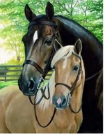 Malowanie po numerach - Diamentowa mozaika Konie 6540 - miniaturka - grafika 1