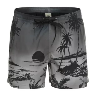 Szorty kąpielowe męskie Quiksilver Everyday Paradise Volley 15" - Spodenki damskie - miniaturka - grafika 1
