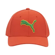 Czapki damskie - PUMA Unisex Evercat Dillon Stretch Fit czapka bejsbolowa, czerwona/zielona, XL, Czerwony/Zielony, L-XL - miniaturka - grafika 1