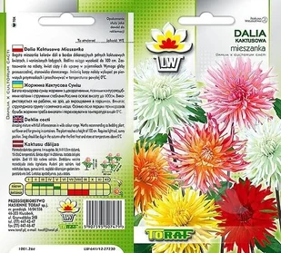 Nasiona Dalia Kaktusowa Mieszanka Mix Toraf - Nasiona i cebule - miniaturka - grafika 1