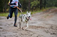 Czasopisma - CANICROSS - bieg z psem Beskid Wyspowy - miniaturka - grafika 1