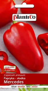 Papryka pod osłony Mercedes 10 g PLANTICO - Nasiona i cebule - miniaturka - grafika 1