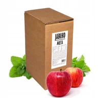 Soki i napoje niegazowane - Sok DLA DZIECI jabłko mięta naturalny 100% 5L - miniaturka - grafika 1
