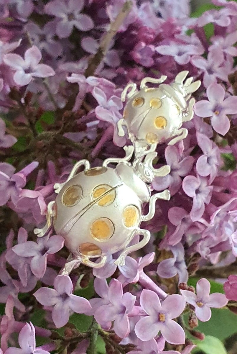 Dwie biedronki satynowe - broszka srebrna