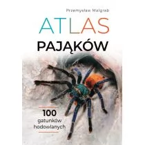 Atlas pająków - Nauki przyrodnicze - miniaturka - grafika 1