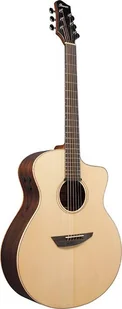 Ibanez PA300E-NSL Natural Low Gloss - Gitary akustyczne - miniaturka - grafika 1