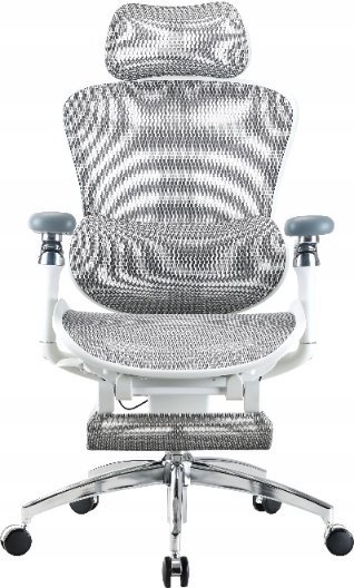Sihoo DORO C300 Pro Mesh White with footrest