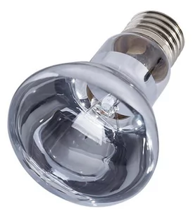 Repti-Zoo Repti-Zoo Neodymium Daylight 35W - żarówka grzewcza neodymowa RZ Neodymium B63035 35W - Akcesoria do terrarium - miniaturka - grafika 1