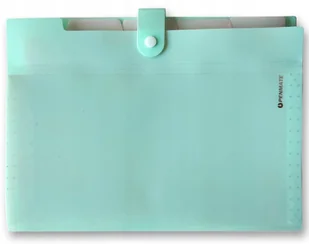 Penmate Teczka z 5-ma przegródkami A4 PP-105 pastelowa zielona - Teczki i skoroszyty - miniaturka - grafika 1