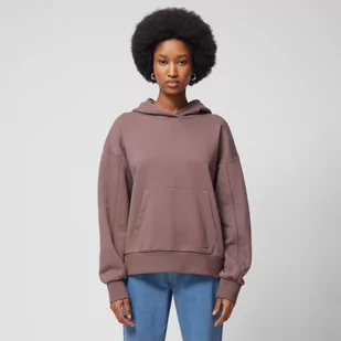 Damska bluza dresowa nierozpinana z kapturem Outhorn OTHWSS24TSWSF1154 - brązowa - Bluzy sportowe damskie - miniaturka - grafika 1