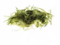 Dekoratorstwo - Brewis Piórka 7g oliwkowe VB8755 - miniaturka - grafika 1