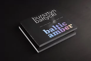 Bursztyn bałtycki. Natura. Historia. Kultura - Książki o kulturze i sztuce - miniaturka - grafika 1