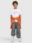 Koszulki dla chłopców - 4F T-shirt z nadrukiem chłopięcy - biały 164 (13-14 lat) - miniaturka - grafika 1