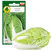 Nasiona i cebule - KAPUSTA PEKIŃSKA CAPITOL WCZESNA NASIONA BEZ GMO - miniaturka - grafika 1