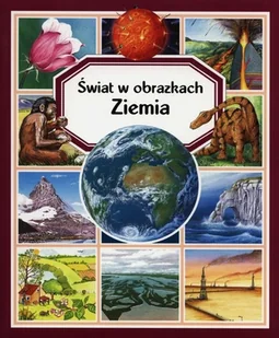 Świat w obrazkach. Ziemia - Książki edukacyjne - miniaturka - grafika 1