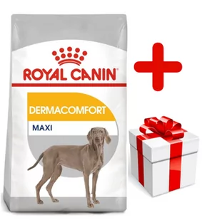 Royal Canin CCN Maxi Dermacomfort 10 kg - Sucha karma dla psów - miniaturka - grafika 1