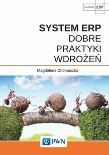 System ERP. Dobre praktyki wdrożeń - E-booki - informatyka - miniaturka - grafika 1