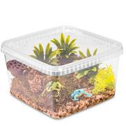 Terraria - TERRARIO REPTIBOX 19X19X12CM - PRZEŹROCZYSTE TERRARIUM FAUNARIUM - miniaturka - grafika 1