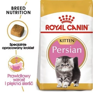 Royal Canin Kitten Persian 32 10 kg - Sucha karma dla kotów - miniaturka - grafika 1