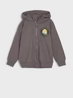 Swetry dla chłopców - Sinsay - Bluza Minionki - szary - miniaturka - grafika 1